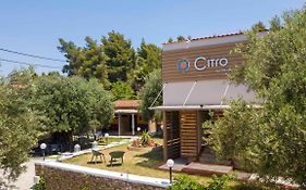 Citro By The Sea